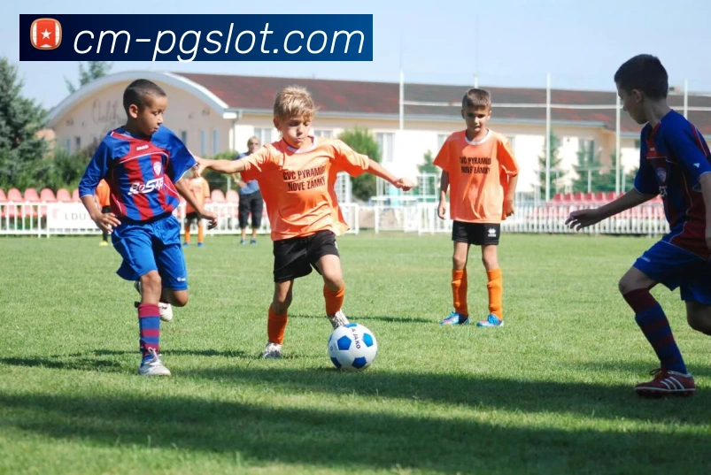 麻将胡了PG官网平台生态图